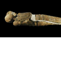 カルトナージュで覆われた男性のミイラ