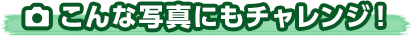 Ȏʐ^ɂ`WI