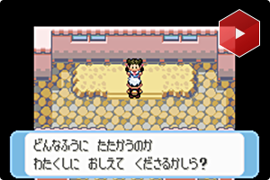 JiY~VeB̃W[_[EccW