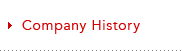 Company History