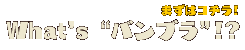 ܂̓R`IWhat's gouhIH