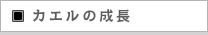 JG̐
