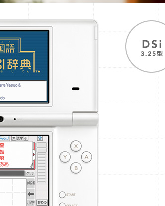 DSi 3.25^