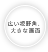 LpA傫ȉ