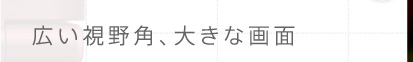 LpA傫ȉ