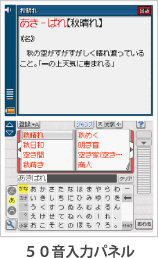 Q[ʁiTO̓plj