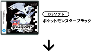 |PbgX^[ubN