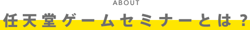 CVQ[Z~i[Ƃ́H