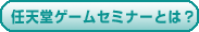 CVQ[Z~i[Ƃ́H