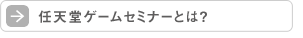 CVQ[Z~i[Ƃ́H