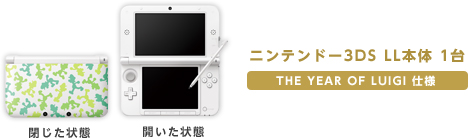 ニンテンドー3DS LL本体 1台 THE YEAR OF LUIGI 仕様