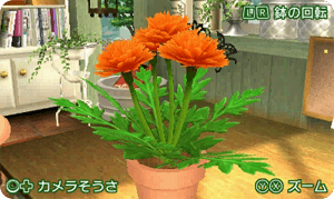 ゲーム画面