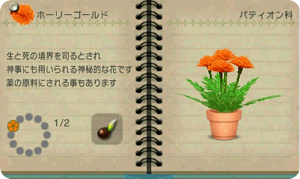 ゲーム画面