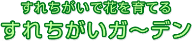 すれちがいで花を育てる すれちがいガ～デン