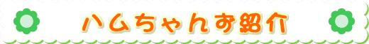 n񂸏Љ