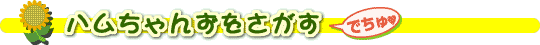 n񂸂(ł)