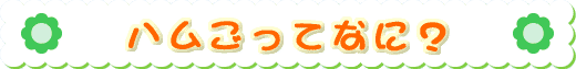 nĂȂɁH