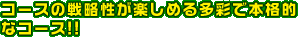 R[X̐헪y߂鑽ʂŖ{iIȃR[XII
