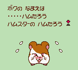 Q[ʂ̃nY