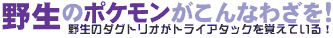 쐶̃|PȂ킴I