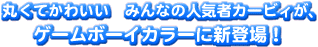 ۂĂ킢@݂Ȃ̐lC҃J[rBAQ[{[CJ[ɐVoI