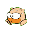NN