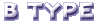 B TYPE