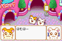 Q[