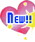 n[gNew!!