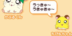 ハムちゃんずチーム