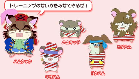 ハムクックチーム