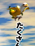 X[p[hL[ROR