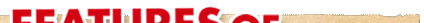 EG