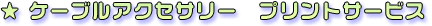 P[uANZT[@vgT[rX