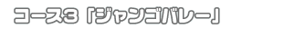 R[XRuWSo[v