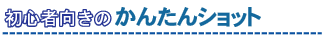 SҌ̂񂽂Vbg