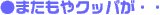 ܂NbpEE