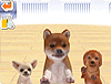 wnintendogsx