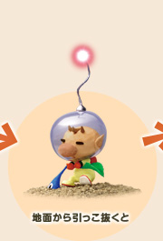 nʂ