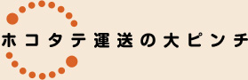 zR^e^̑s`