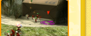 Q[