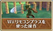 WiiRvXg