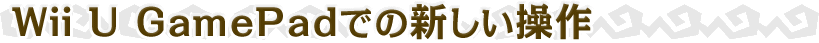 Wii U GamePadł̐V